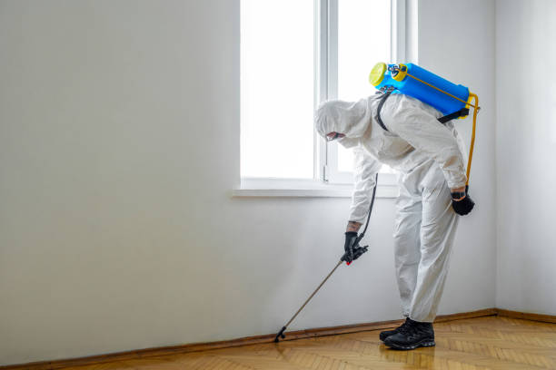 Best Best Pest Control Companies  in North Bennington, VT